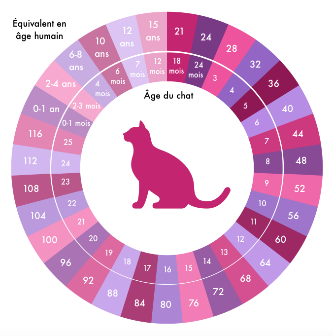 Comment calculer l âge de son chat